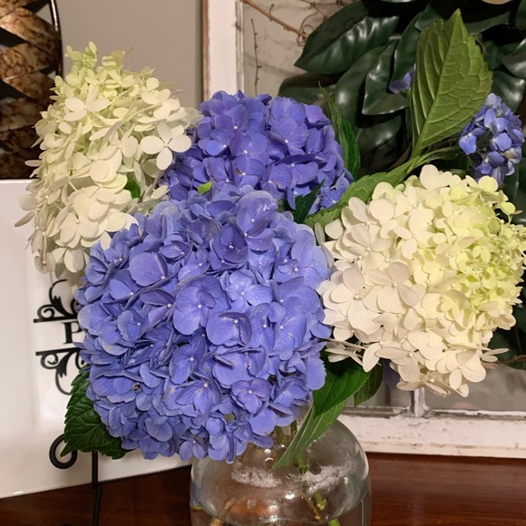 Meet your Posher, Jennifer - Picture 1 of 1